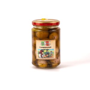 Lampascioni   aus Kalabrien